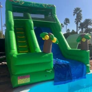 Tobogán con piscina modelo jungla